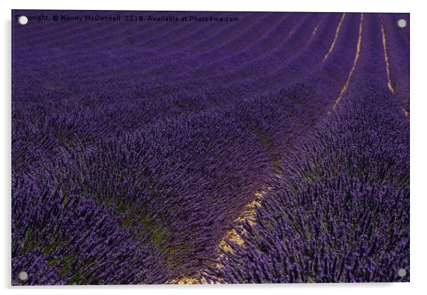 Lavender fields in Provence, France  Acrylic by Wendy McDonnell