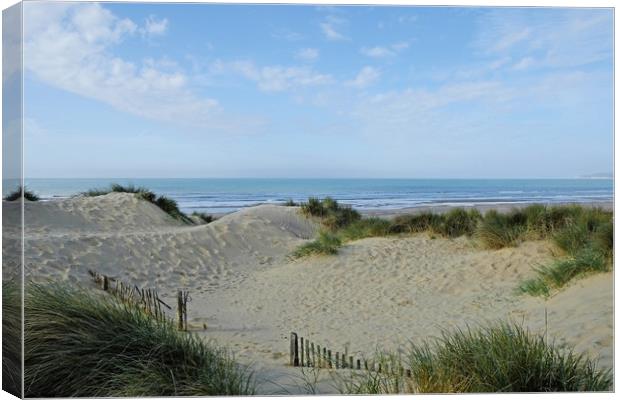 Camber Sands Canvas Print by Diana Mower