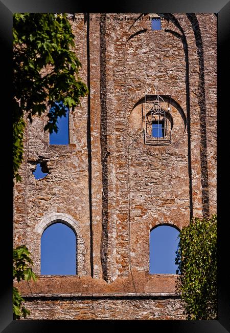 Windows Of An Old Convent Framed Print by Jukka Heinovirta