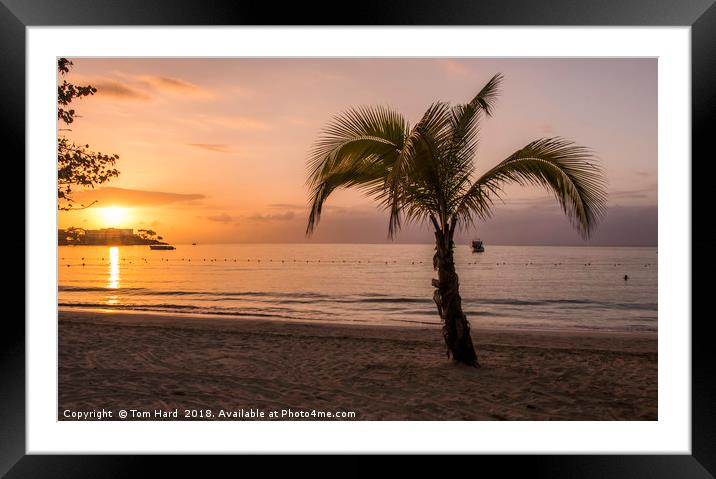 Jamaican Sunset Framed Mounted Print by Tom Hard