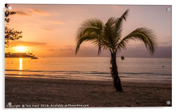 Jamaican Sunset Acrylic by Tom Hard