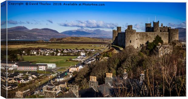 Harlech Castle and Mount Snowdon in North Wales Canvas Print by David Thurlow
