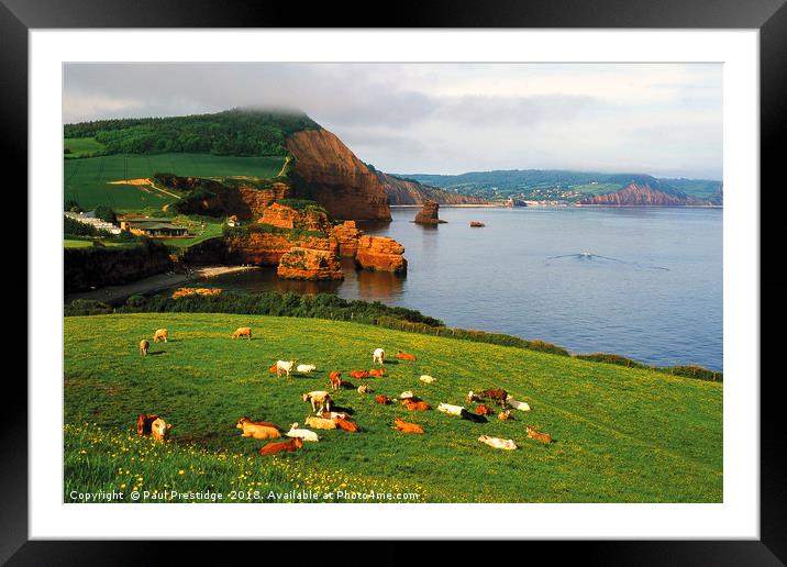 Ladram Bay, East Devon Framed Mounted Print by Paul F Prestidge