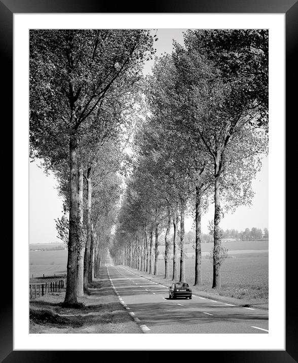 Tree Lined Road France  Framed Mounted Print by Philip Enticknap