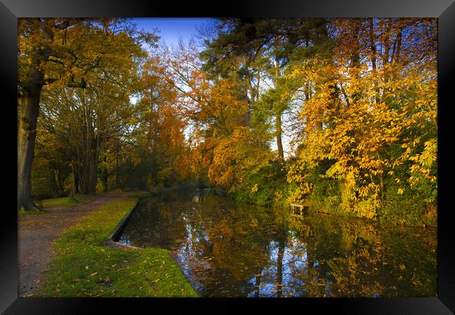 Basingstoke Canal in Autumn  Framed Print by Philip Enticknap