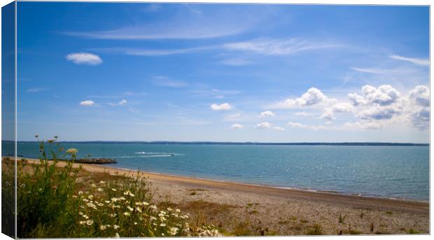 Lee-on-the-Solent,Hampshire ,England. Canvas Print by Philip Enticknap