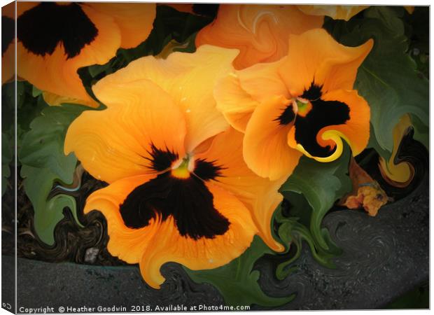 Pansies Canvas Print by Heather Goodwin