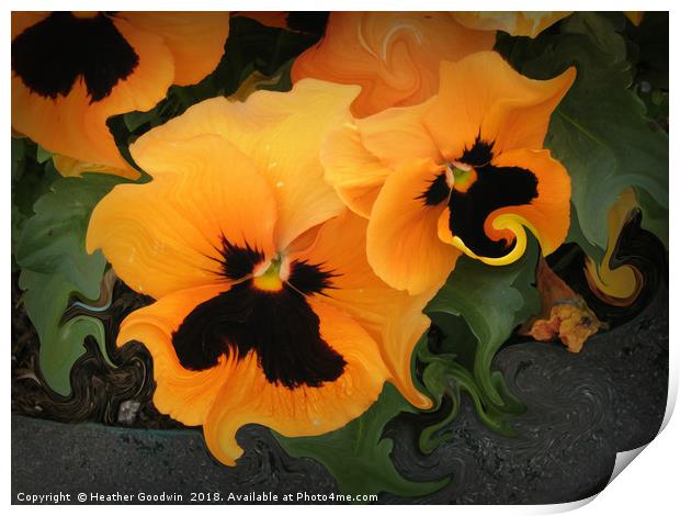 Pansies Print by Heather Goodwin