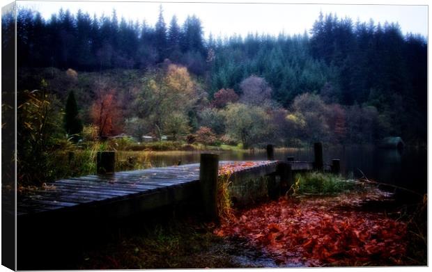 Loch Ard autumn leaves Canvas Print by jane dickie