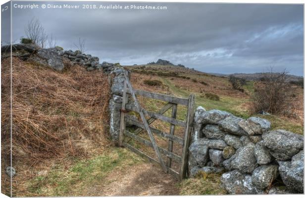  Path to Hound Tor Canvas Print by Diana Mower