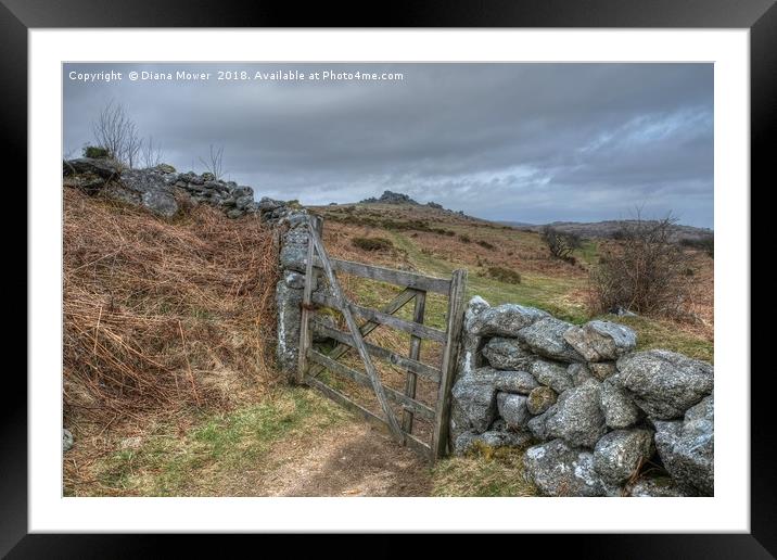  Path to Hound Tor Framed Mounted Print by Diana Mower