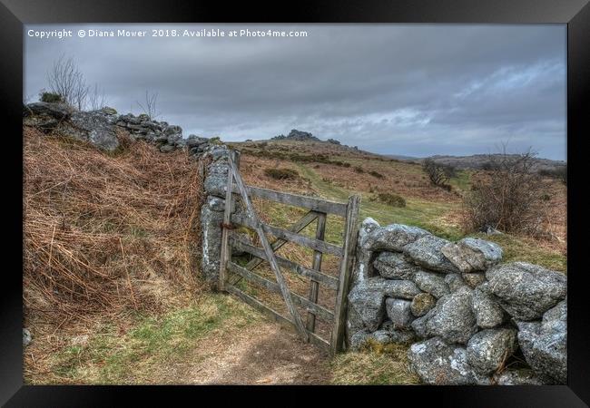  Path to Hound Tor Framed Print by Diana Mower