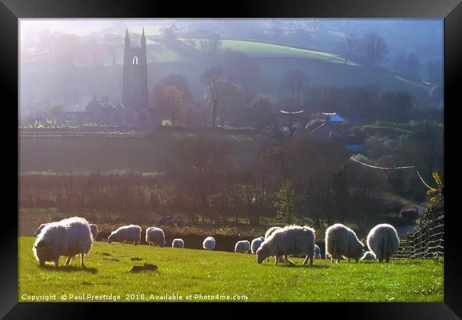 Sheep at Widecombe-in-the-Moor  Framed Print by Paul F Prestidge