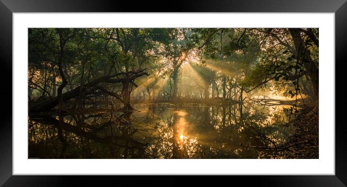 Rays from heaven Framed Mounted Print by Indranil Bhattacharjee