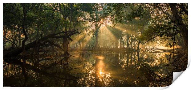 Rays from heaven Print by Indranil Bhattacharjee
