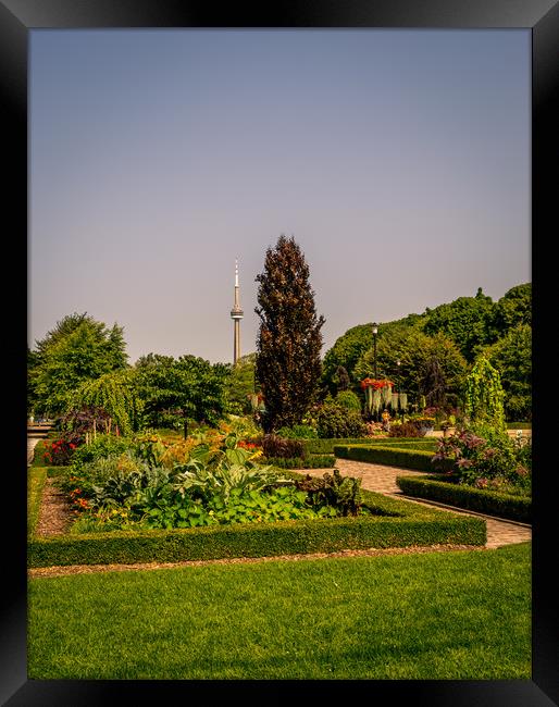 The Toronto Islands Gardens Framed Print by Naylor's Photography