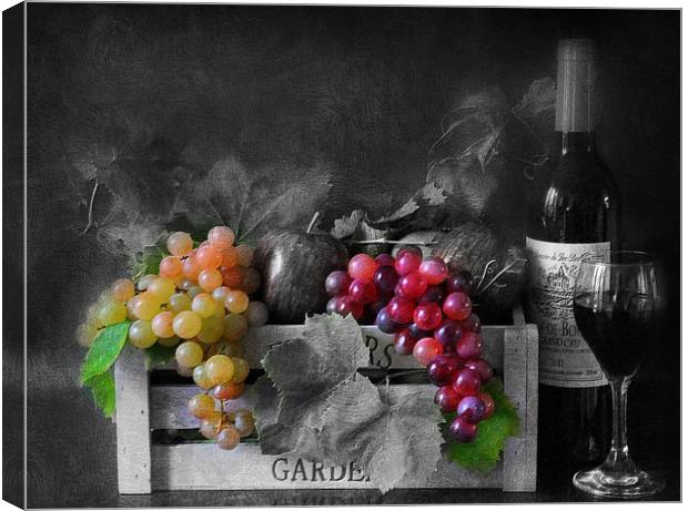 wine and fruit Canvas Print by sue davies