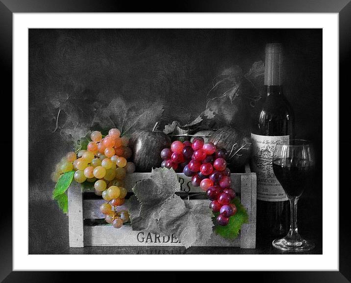 wine and fruit Framed Mounted Print by sue davies