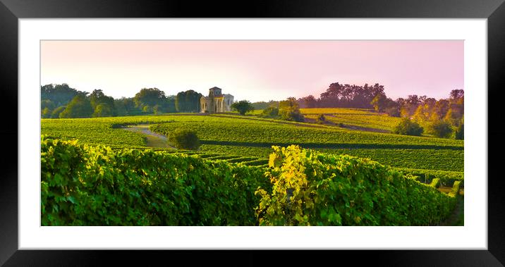 Landscape ,Poitou-Charentes, France  Framed Mounted Print by Philip Enticknap