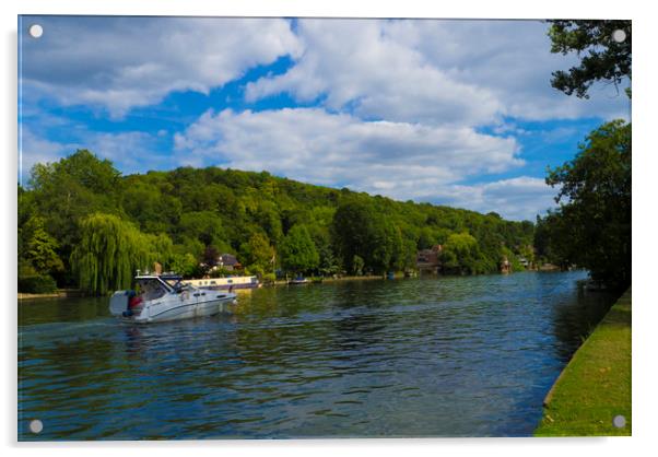 River Thames near Henley on Thames  Acrylic by Philip Enticknap