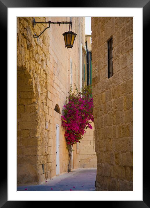 Street sceane Mdina,Malta Framed Mounted Print by Philip Enticknap