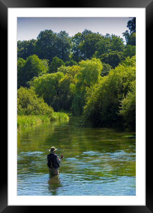 Fly Fishing ,River Itchen,Hampshire England Framed Mounted Print by Philip Enticknap