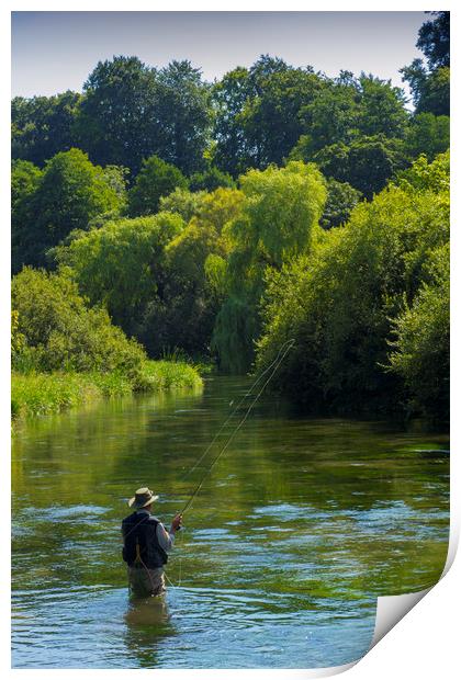 Fly Fishing ,River Itchen,Hampshire England Print by Philip Enticknap