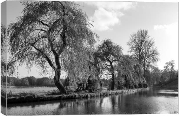 The River Wey,Guildford, Surrey,England  Canvas Print by Philip Enticknap