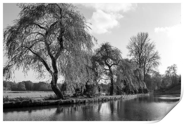 The River Wey,Guildford, Surrey,England  Print by Philip Enticknap