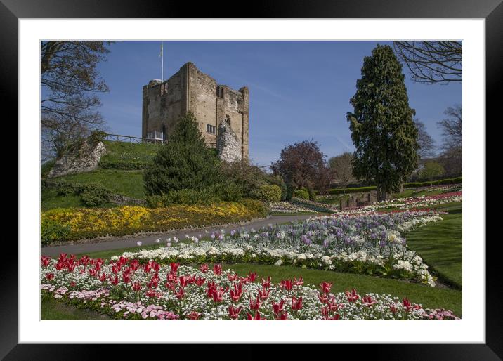 Guildford Castle Keep & Grounds ,Surrey England  Framed Mounted Print by Philip Enticknap