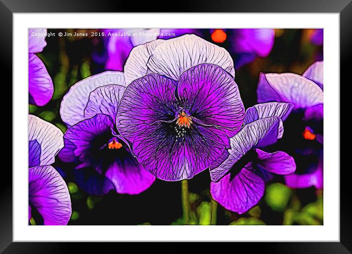 Artistic Purple Pansies Framed Mounted Print by Jim Jones
