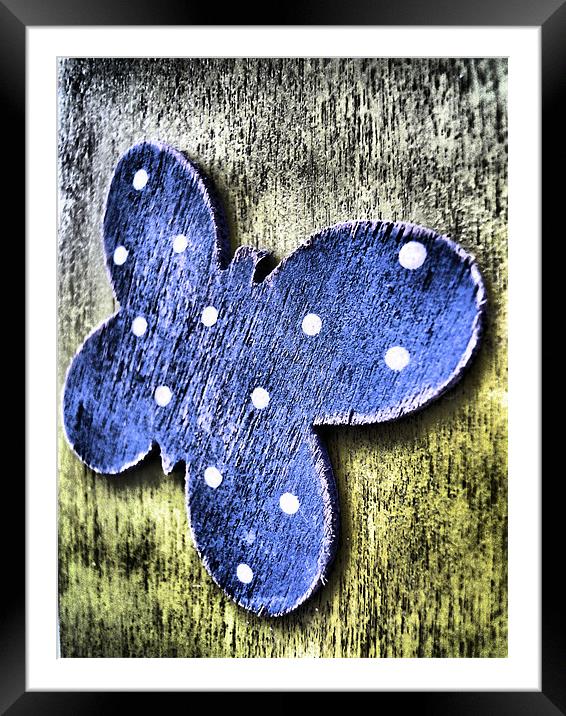 blue wooden butterfly Framed Mounted Print by Heather Newton