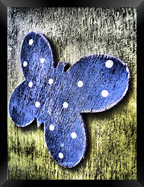 blue wooden butterfly Framed Print by Heather Newton