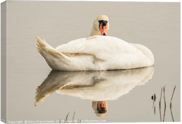 Resting Swan Canvas Print by Gary Clarricoates