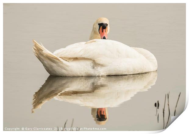 Resting Swan Print by Gary Clarricoates