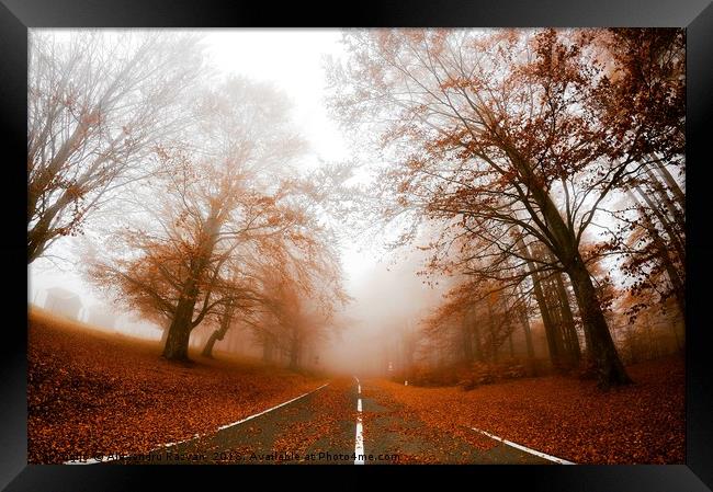 Road in fog Framed Print by Alexandru Razvan