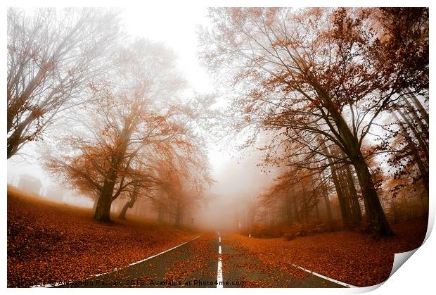 Road in fog Print by Alexandru Razvan