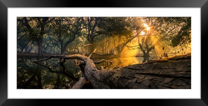 A Heavenly Morning at Keoladeo Framed Mounted Print by Indranil Bhattacharjee
