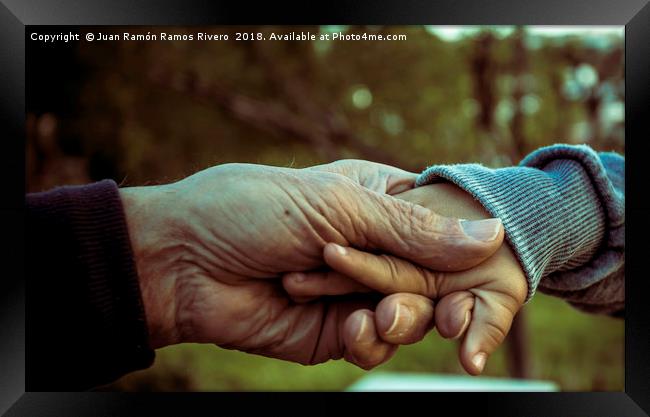 Grandfather and grandson holding hands Framed Print by Juan Ramón Ramos Rivero