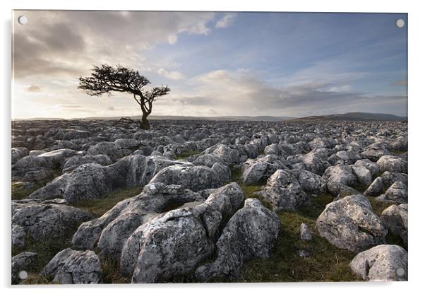 A Yorkshire Dales Limestone Desert Acrylic by Steve Glover