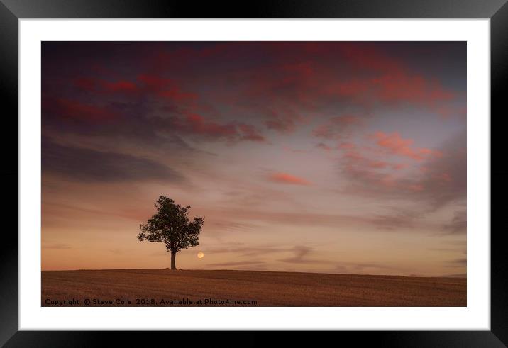 Lonesome Moon Framed Mounted Print by Steve Cole