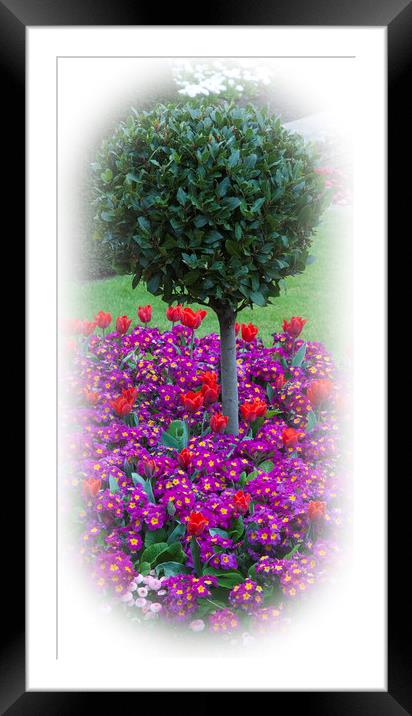 Round Bush & Spring Flowers  Framed Mounted Print by Philip Enticknap