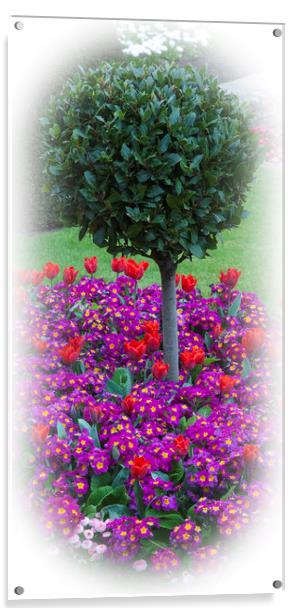 Round Bush & Spring Flowers  Acrylic by Philip Enticknap
