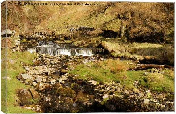 BRANTS GILL WATERFALL Canvas Print by andrew saxton