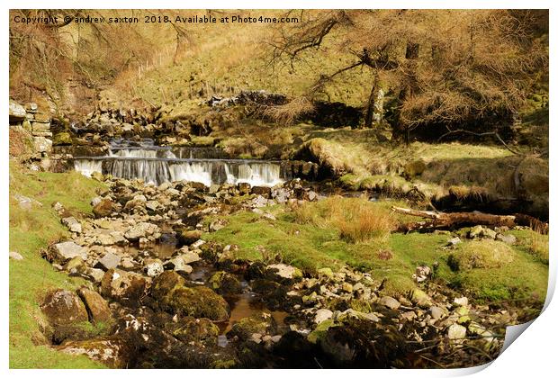 BRANTS GILL WATERFALL Print by andrew saxton