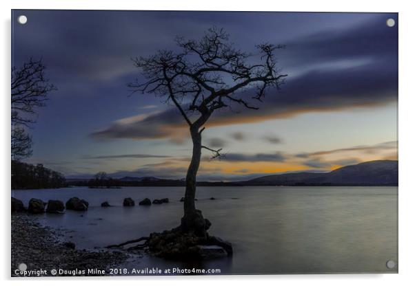 The Tree, Milarrochy Bay, Loch Lomond Acrylic by Douglas Milne