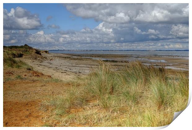 The Naze beach Print by Diana Mower