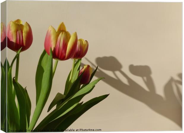 Tulip Shadows Canvas Print by Karen Spence