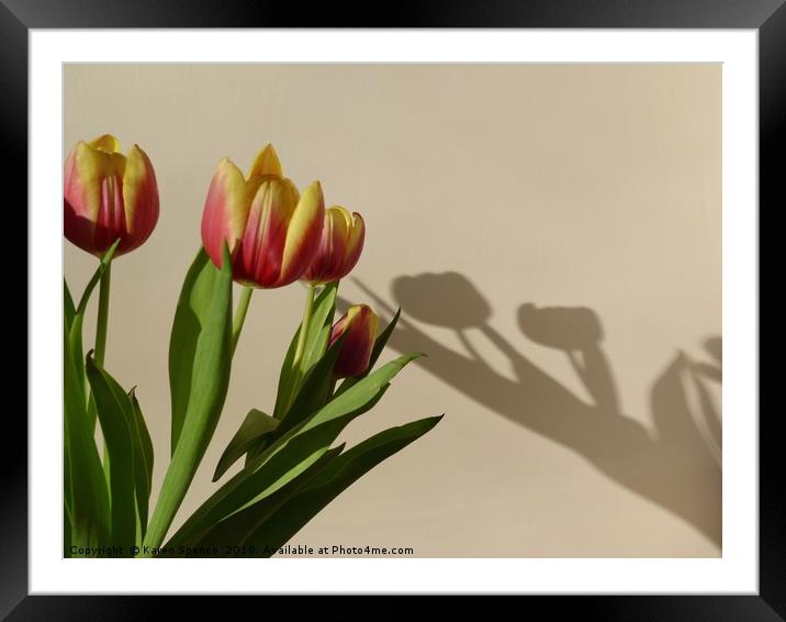 Tulip Shadows Framed Mounted Print by Karen Spence