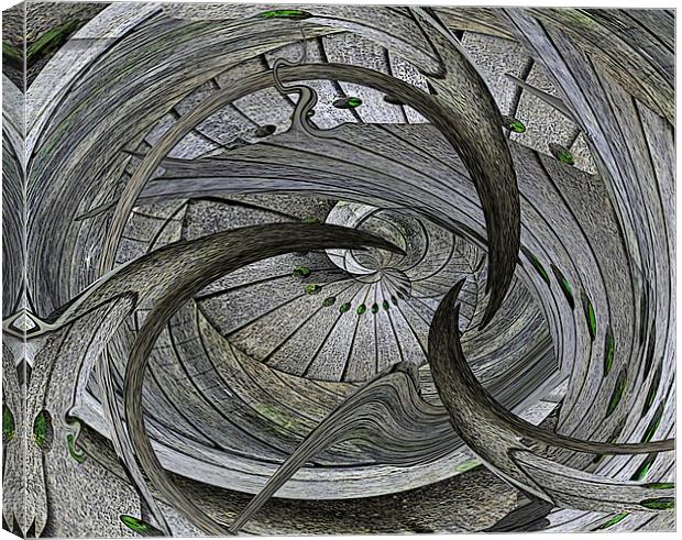 wooden whirlpool Canvas Print by Heather Newton